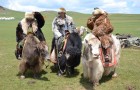 La Mongolie en 12 photos