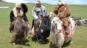 La Mongolie en 12 photos