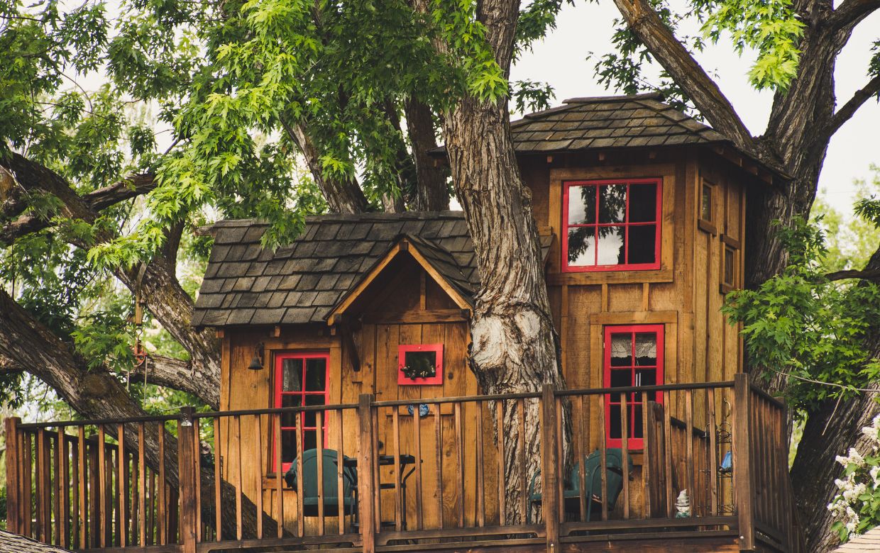 cabane dans les arbres